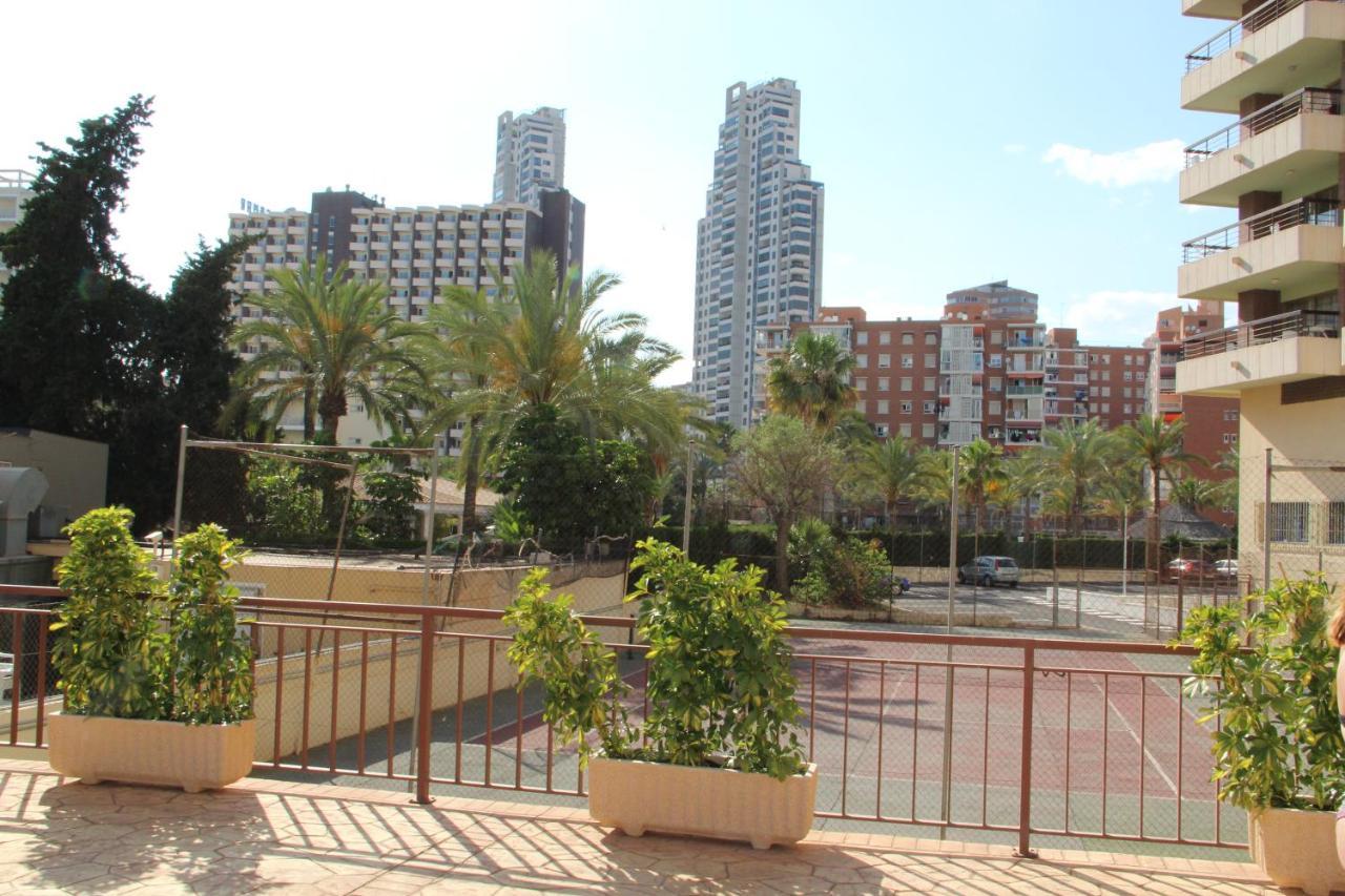 Acuarium Lägenhet Benidorm Exteriör bild